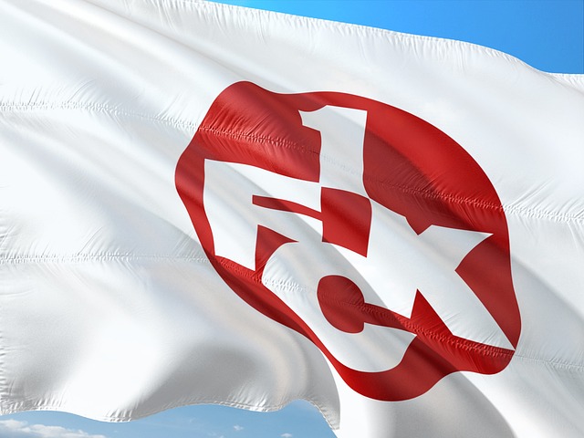 JE1在